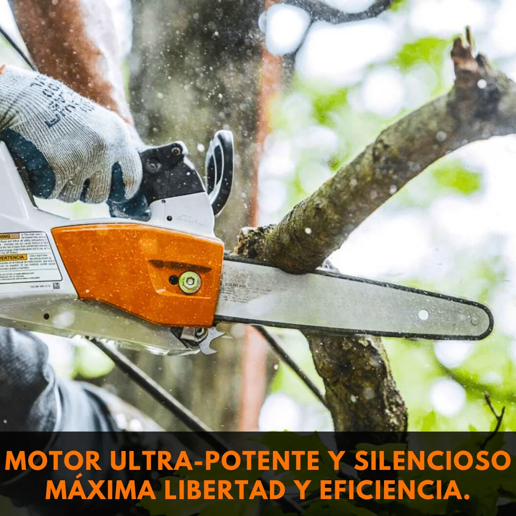 Sistema de seguridad
